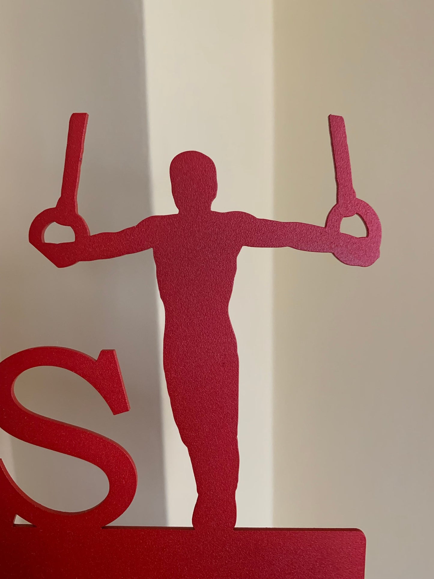 Custom Men’s Gymnastics Medal Holder - Personalized Metal Display Rack with Rings Silhouette